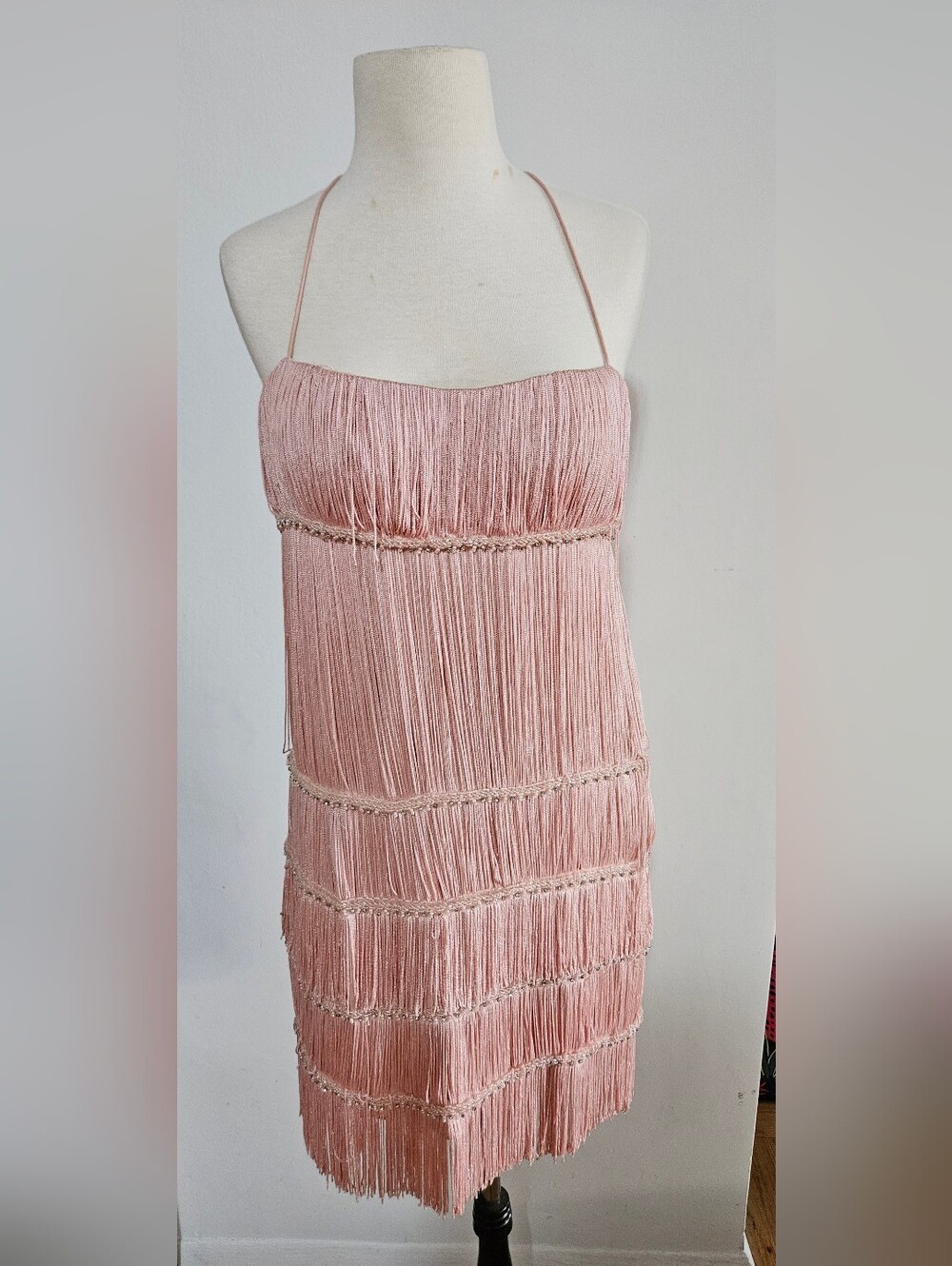 Mignon Dusty Pink Fringe Flapper Mini Dress